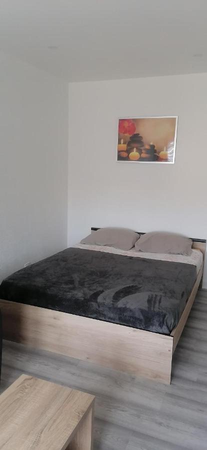 Appartement Avec Balcon Et Parking Prive Roanne Bagian luar foto
